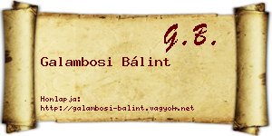 Galambosi Bálint névjegykártya